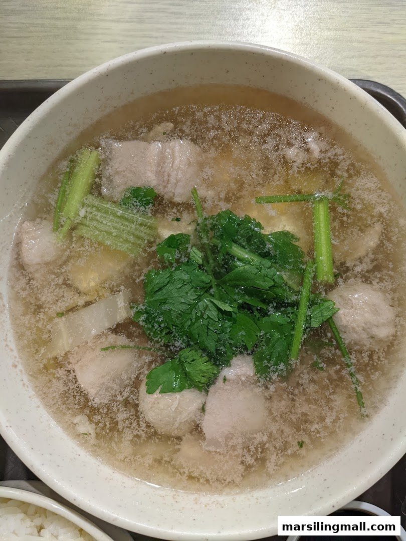 A close-up of a hearty bowl of herbal soup with meat, vegetables, and fresh herbs.
