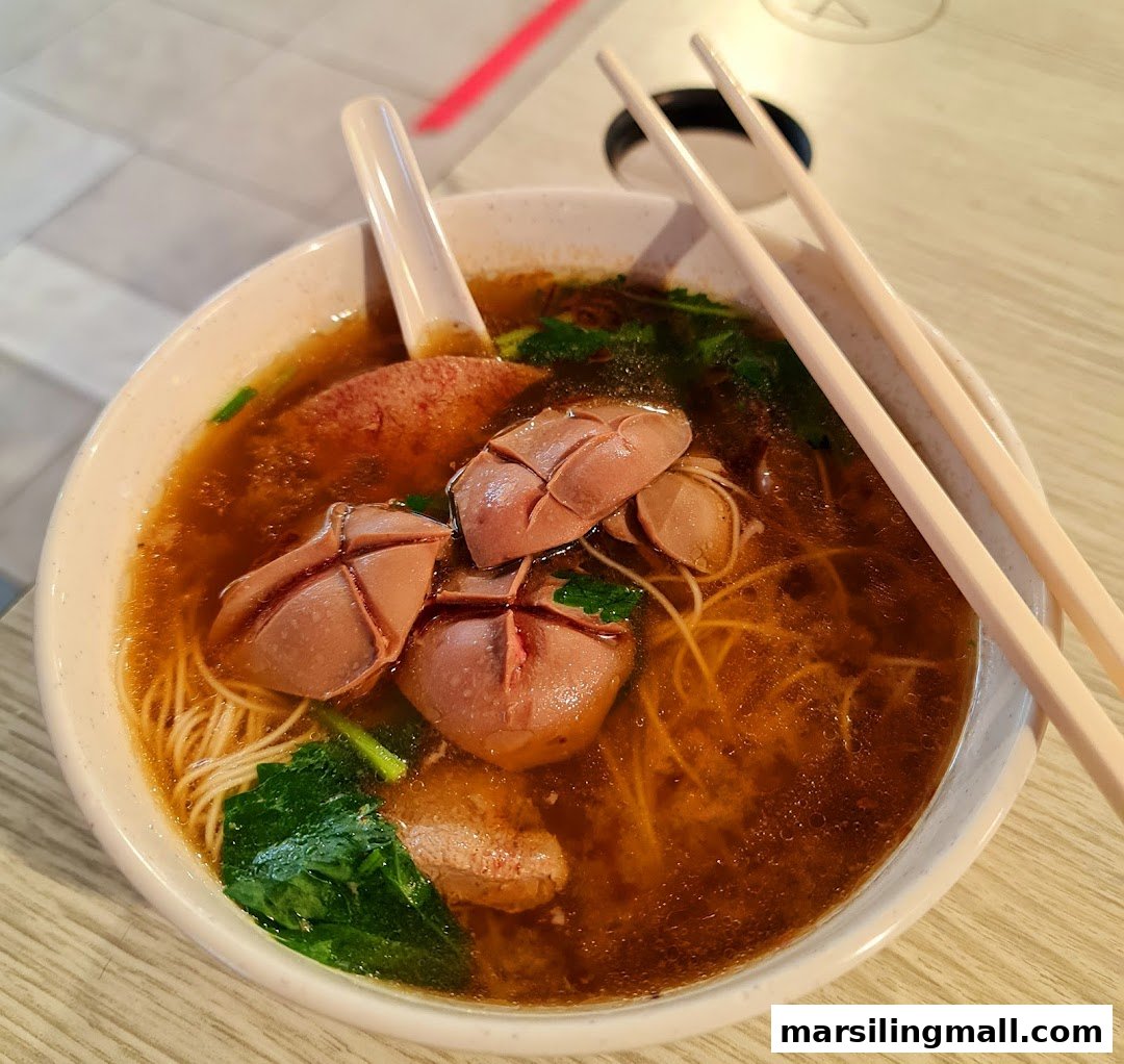 A close-up of a bowl of herbal soup noodles with meat and vegetables.