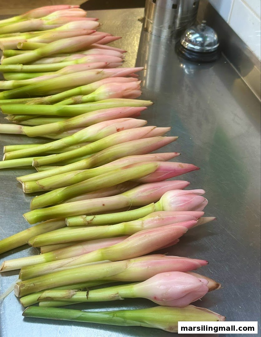 Fresh pink torch ginger flowers (bunga kantan) arranged on a stainless steel counter.