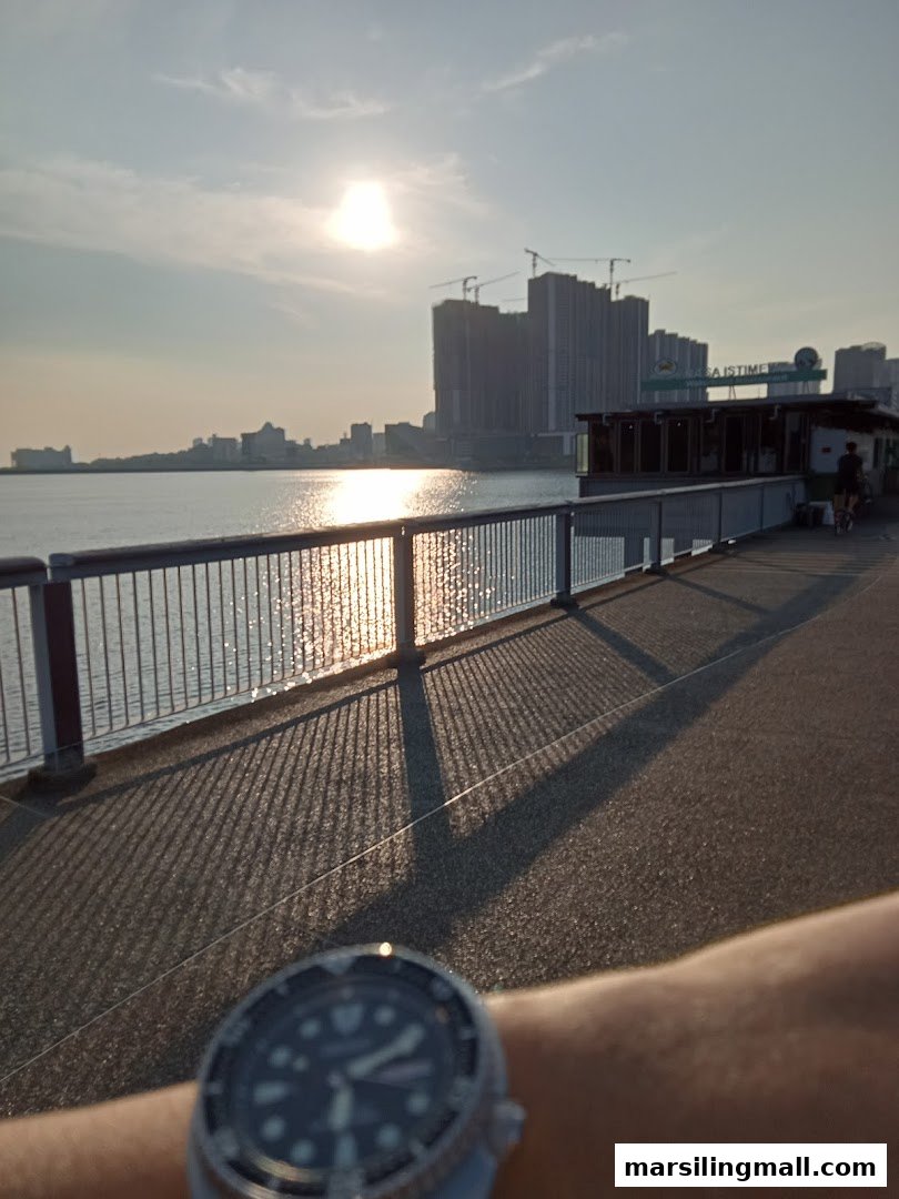 A person's wrist with a watch, overlooking a sunny waterfront with buildings in the distance.