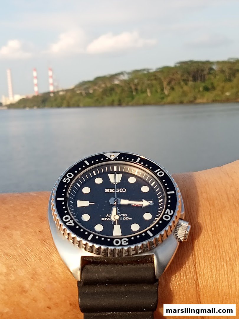A Seiko dive watch on a wrist, with a scenic water and distant land background.