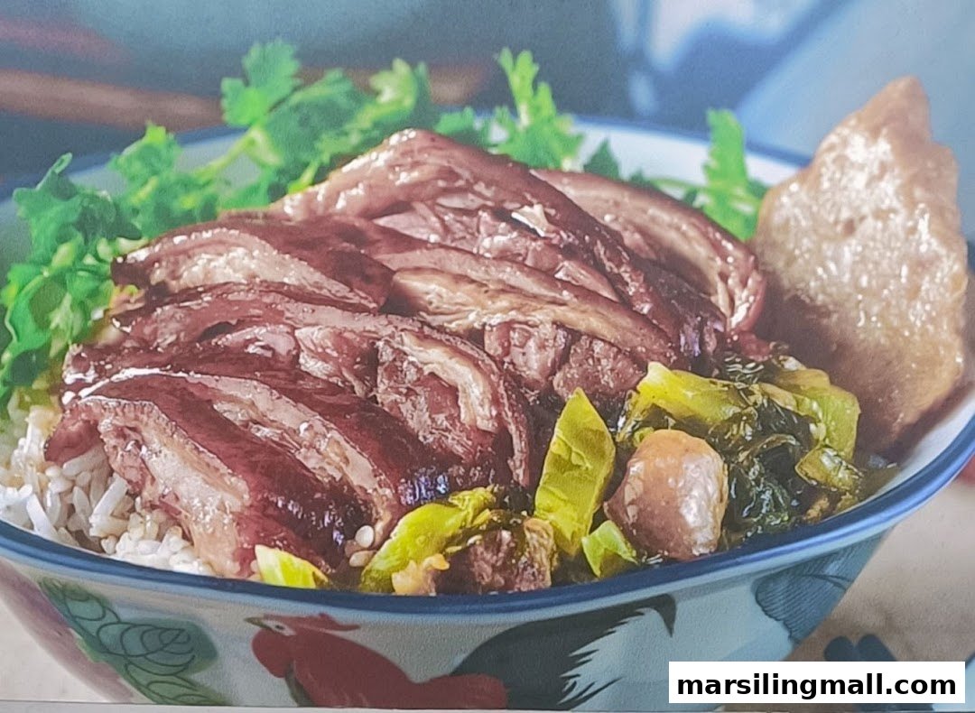 A close-up of a delicious bowl of braised pig leg rice with vegetables and tofu.