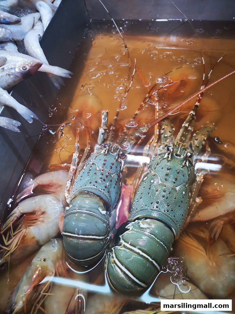 Live lobsters, shrimp, and fish displayed in water tanks at a seafood shop.