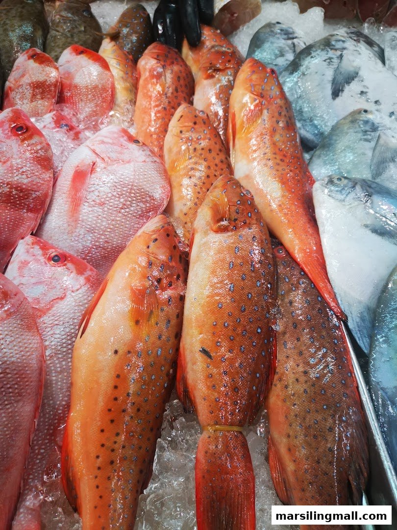 A vibrant display of fresh whole fish, including red snappers and spotted groupers, on ice.
