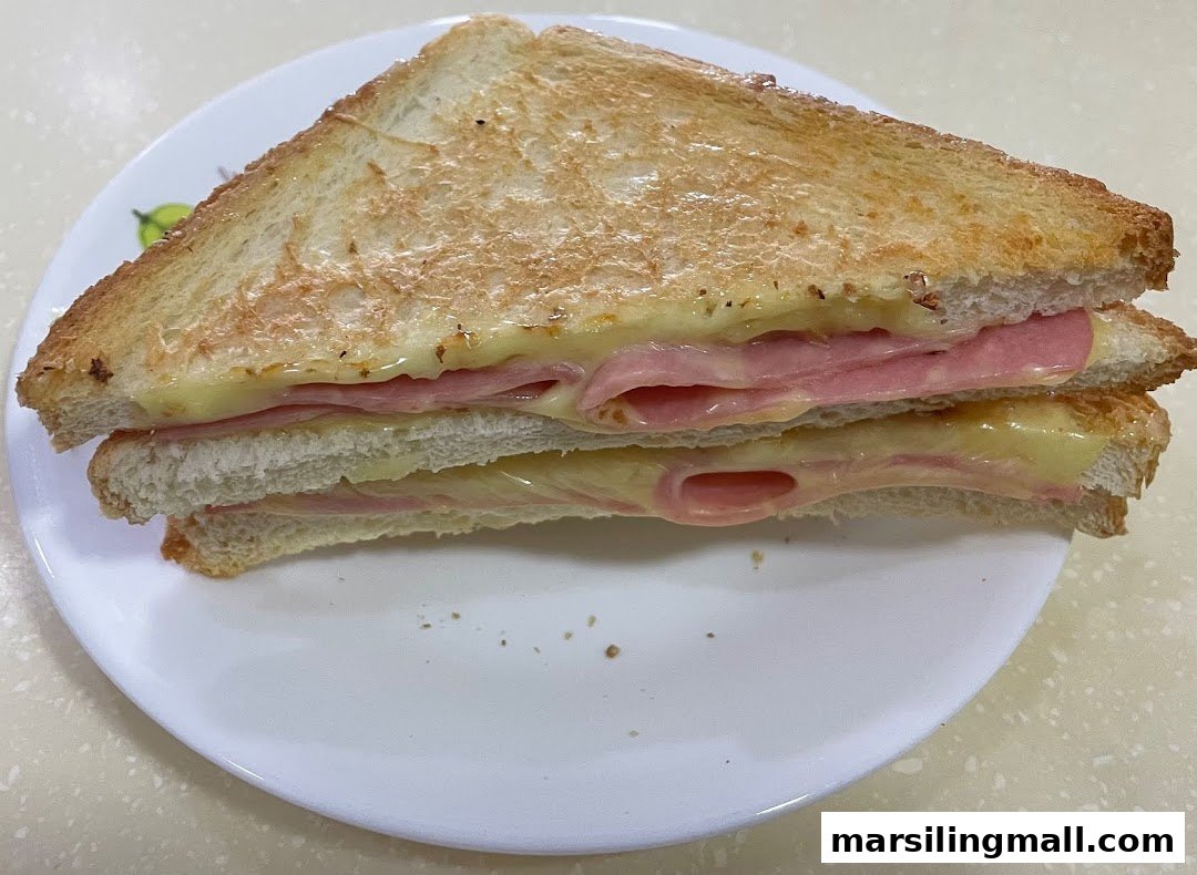 A close-up of a delicious toasted ham and cheese sandwich on a white plate.