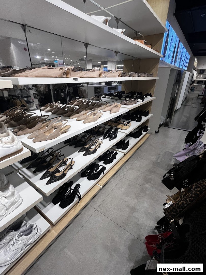 A wide selection of women's shoes displayed on shelves in a retail store.
