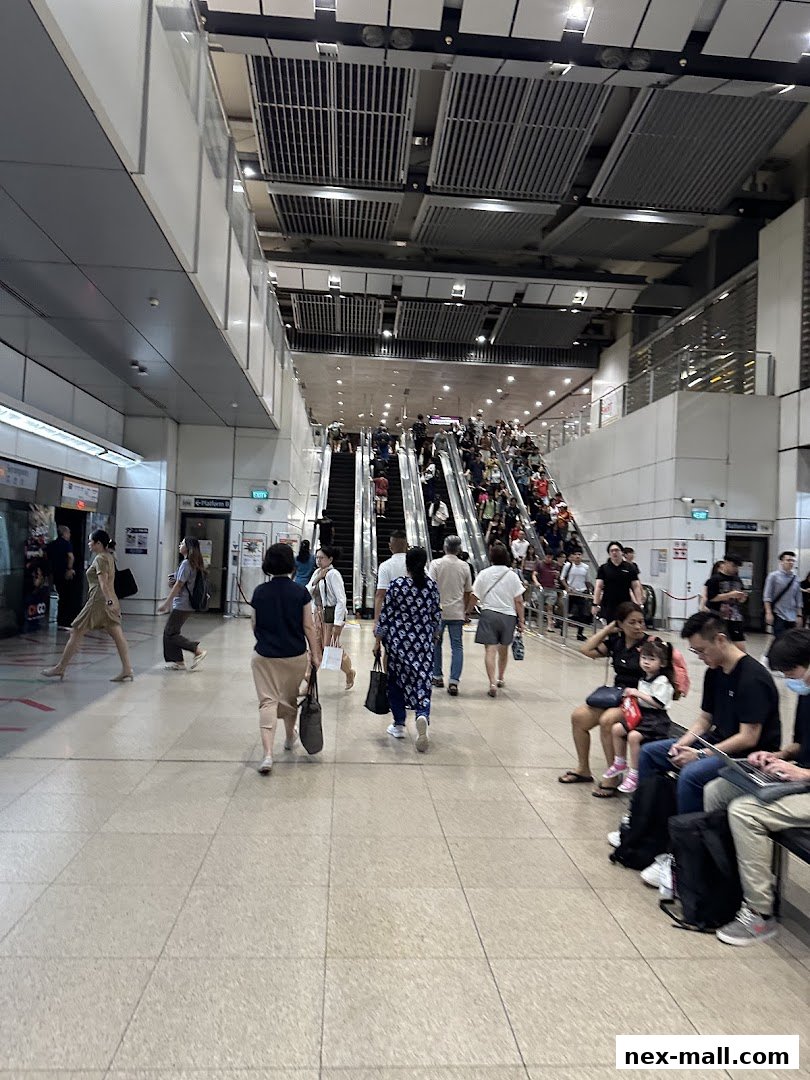 People on escalators and walking in a busy, modern transit station.