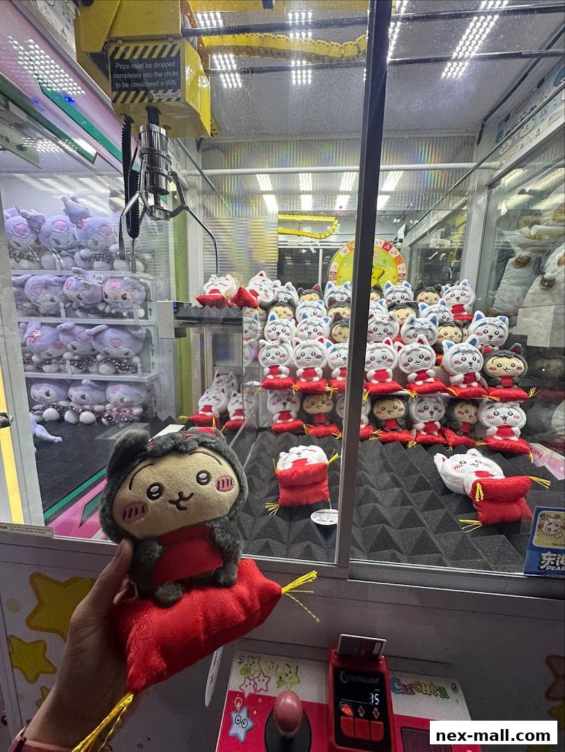 A hand holds a plush toy in front of a claw machine filled with prizes.