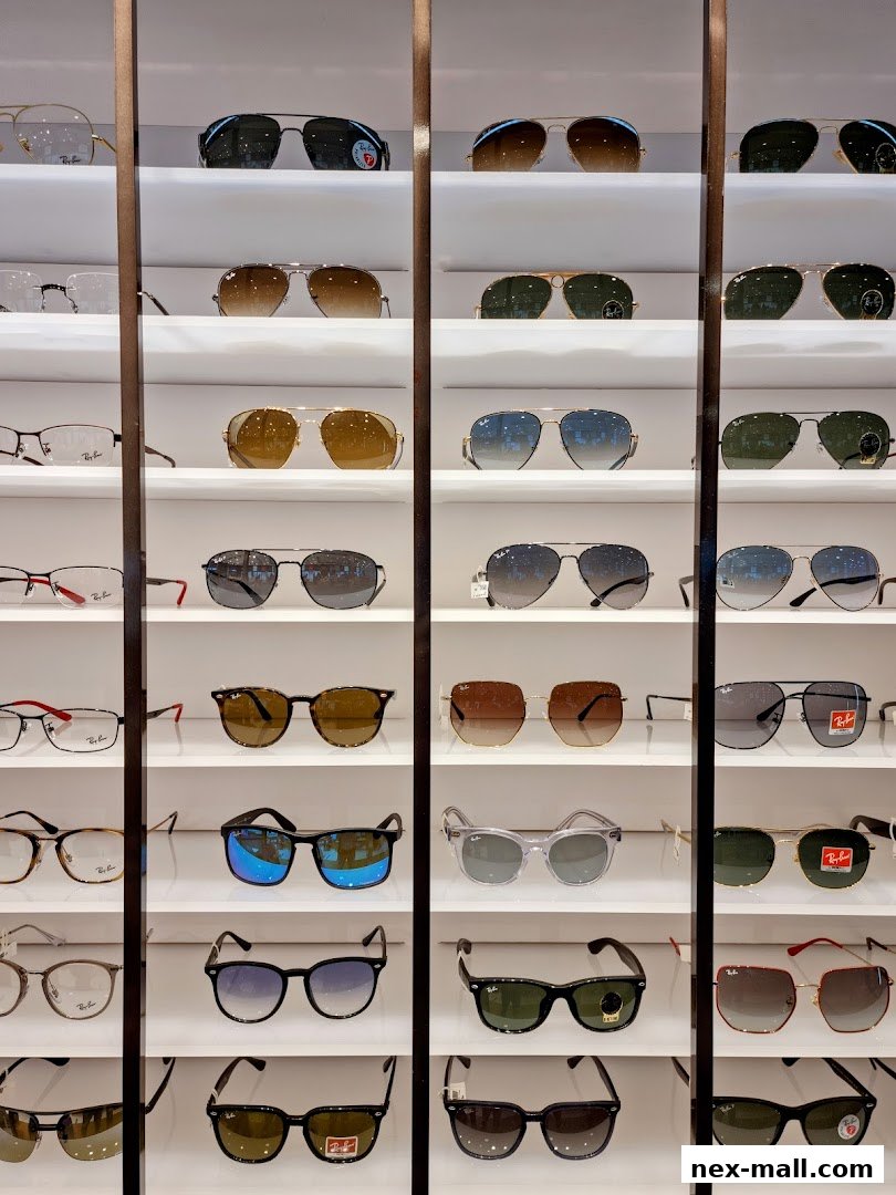 A display of various sunglasses and eyeglasses on shelves in a retail store.