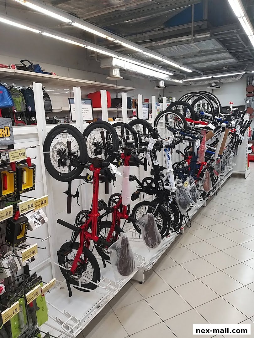 A display of various bicycles, including foldable models, in a retail store.