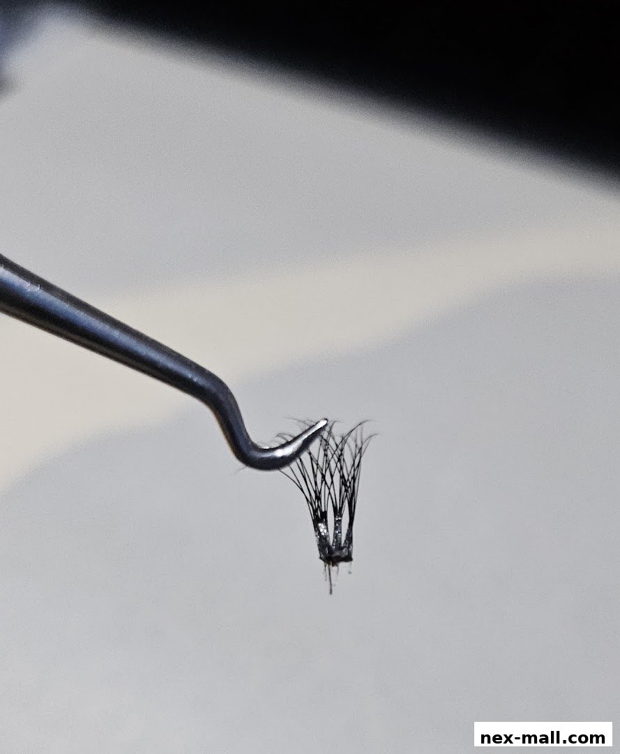 A close-up of a cluster of eyelash extensions held by tweezers.