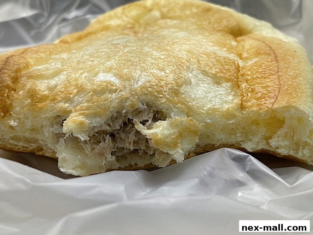 A close-up shot of a delicious-looking savory pastry with a golden-brown crust.
