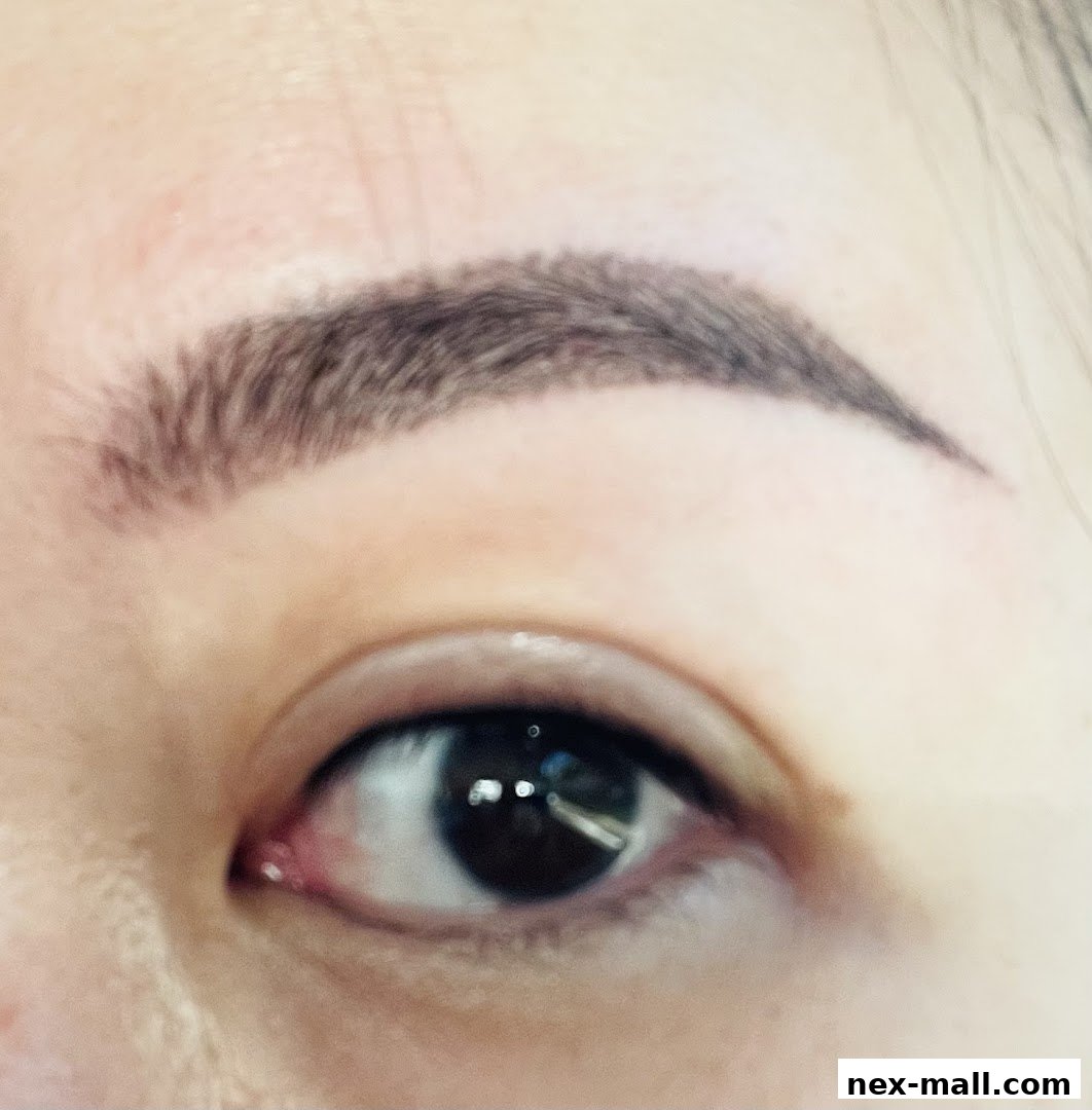 Close-up of a person's eye with perfectly shaped and filled eyebrows.