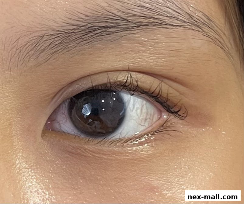 Close-up of a person's eye with beautifully applied eyelash extensions.