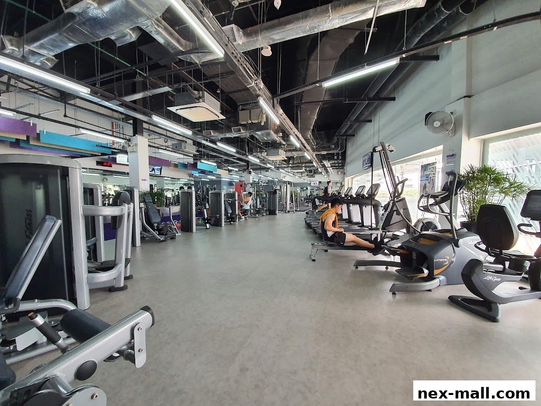 Interior view of a modern gym with various exercise machines and a person rowing.