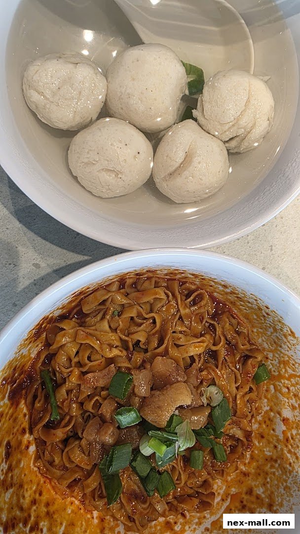 Two bowls of food: one with noodles and toppings, the other with fish balls in broth.