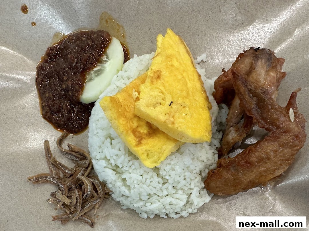 A plate of Nasi Lemak with fried chicken wing, omelette, sambal, cucumber, and anchovies.