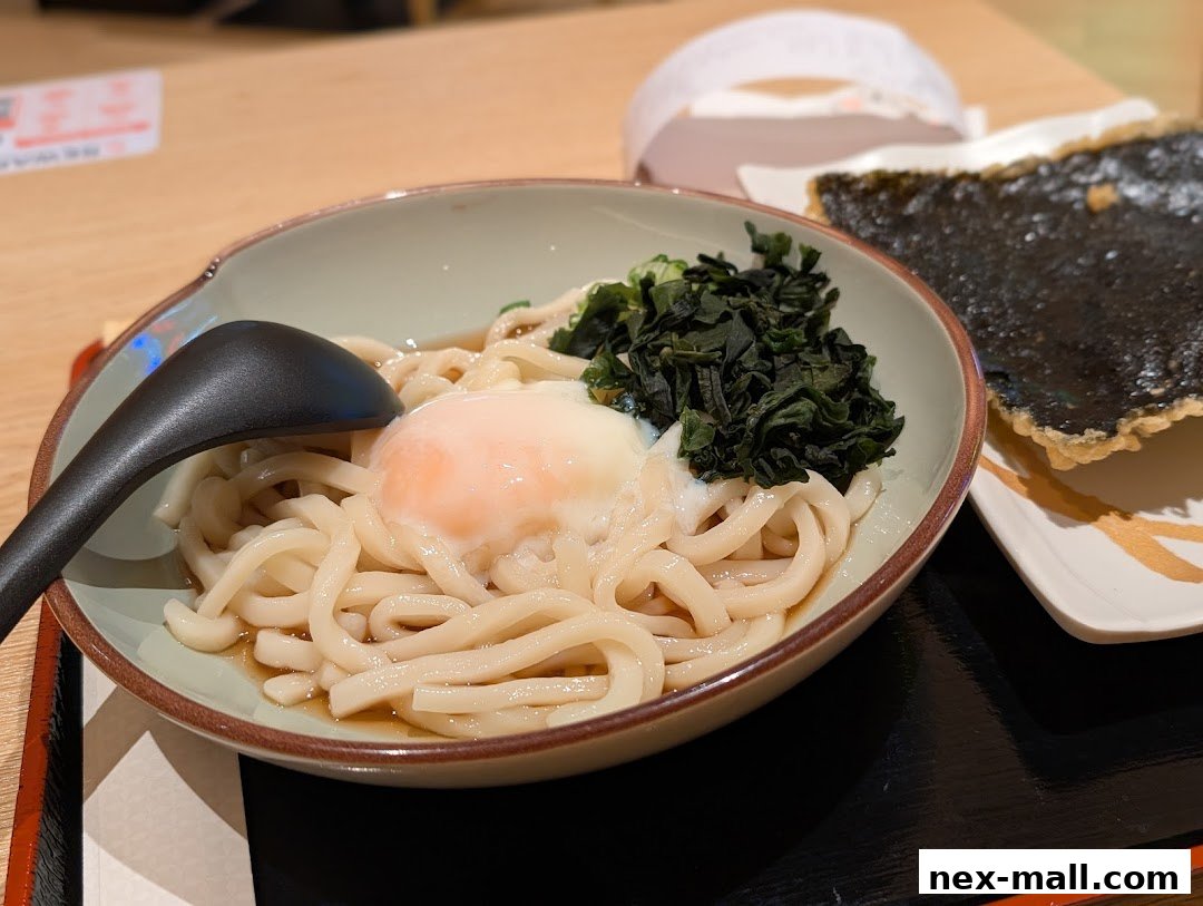 A bowl of udon noodles with a soft-boiled egg and seaweed, served with a side of tempura nori.