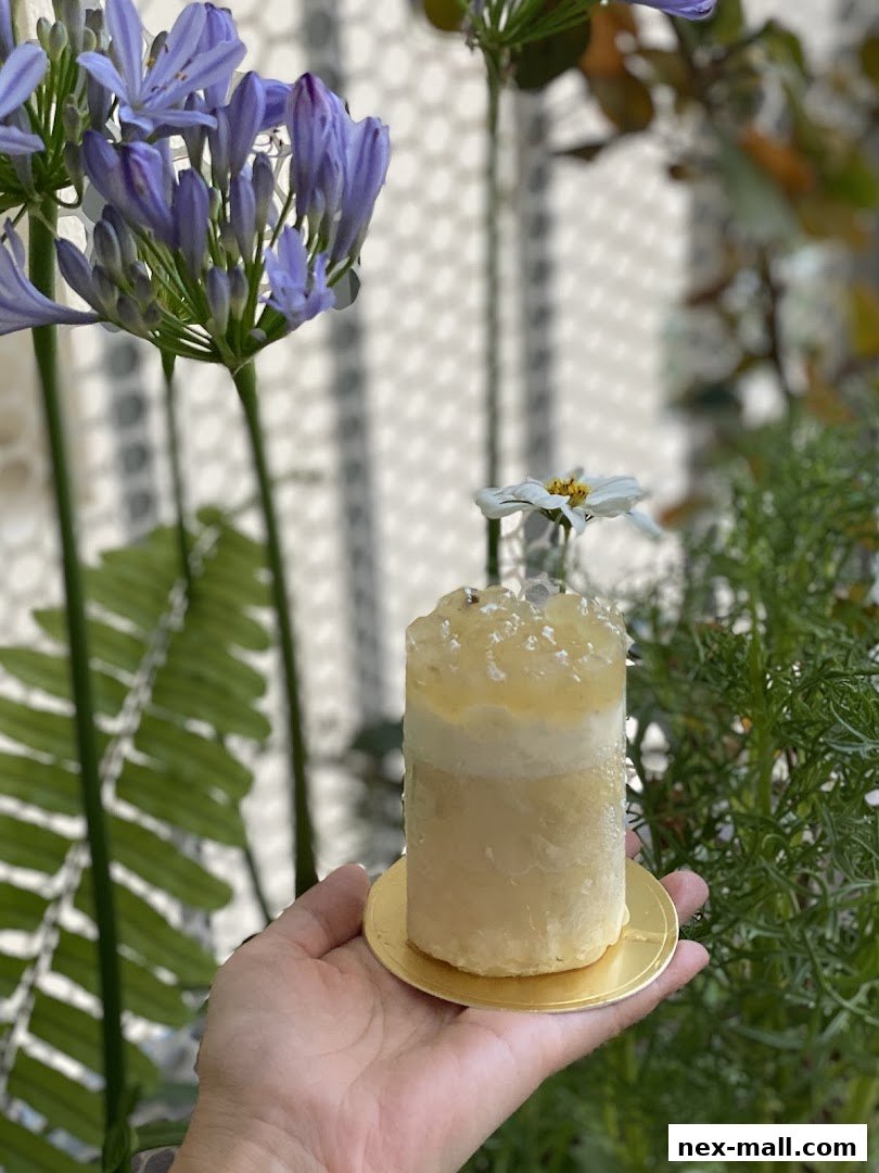 A hand holds a delicate, layered dessert with a yellow, translucent topping.