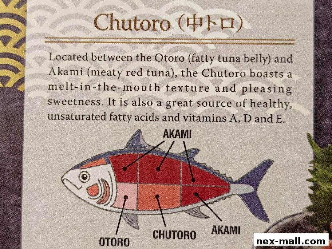 A diagram illustrating different cuts of tuna, specifically Chutoro, with descriptive text.