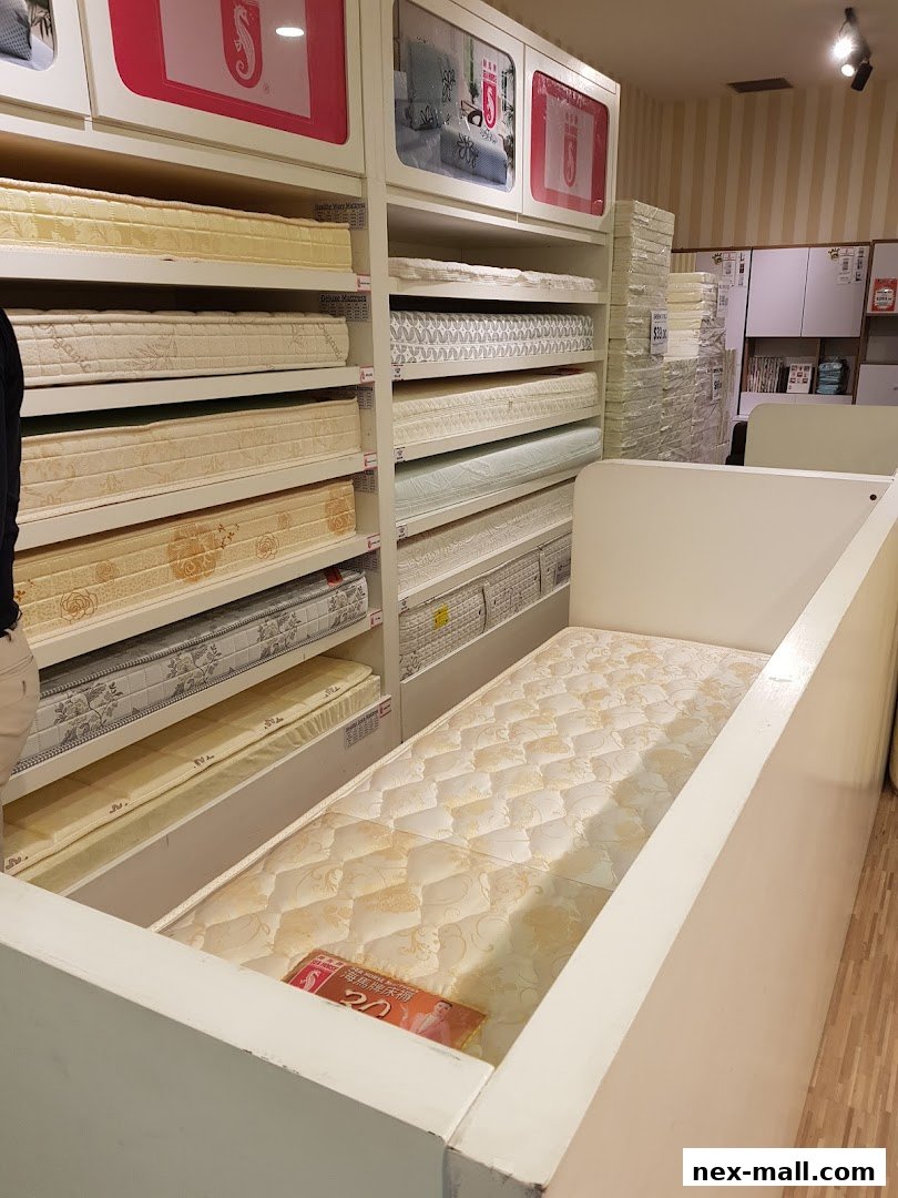 A display of various mattresses neatly arranged on shelves and a bed frame.