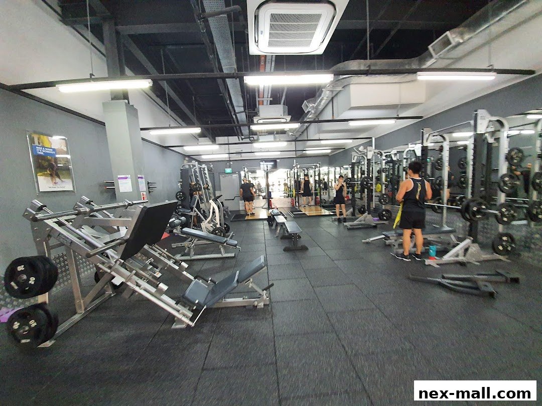 Interior view of a well-equipped gym with various weight machines and people working out.