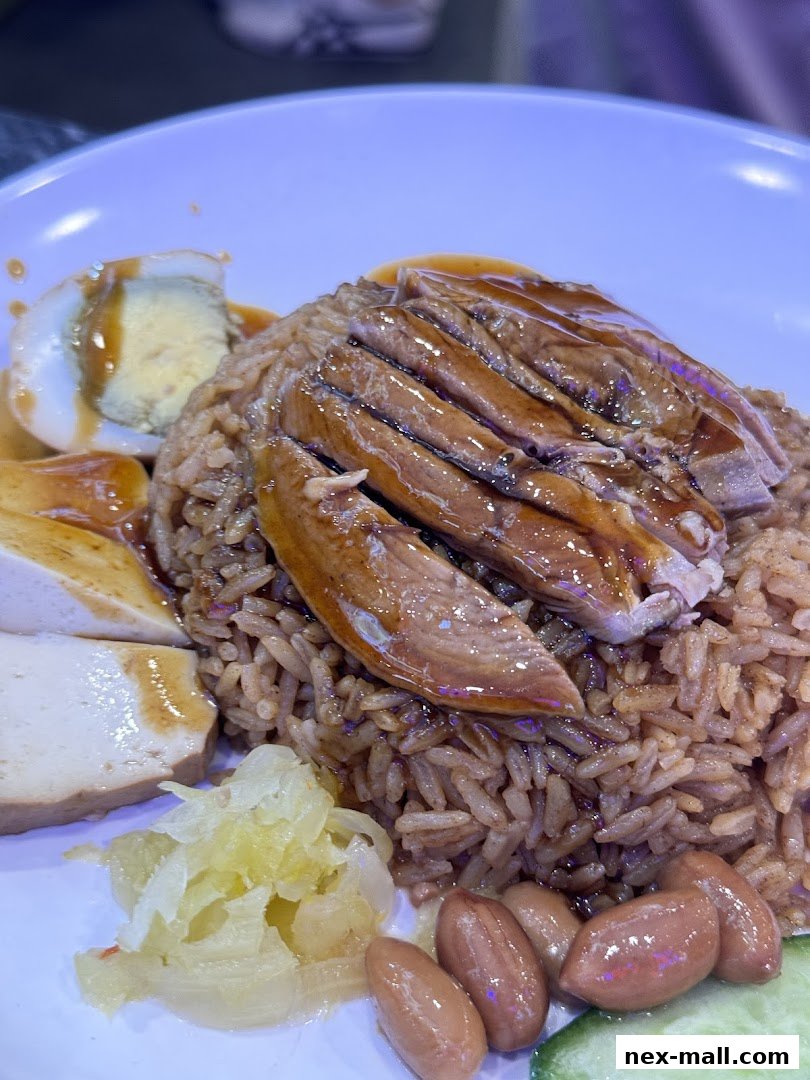 A plate of rice topped with sliced duck, braised tofu, a hard-boiled egg, and peanuts.