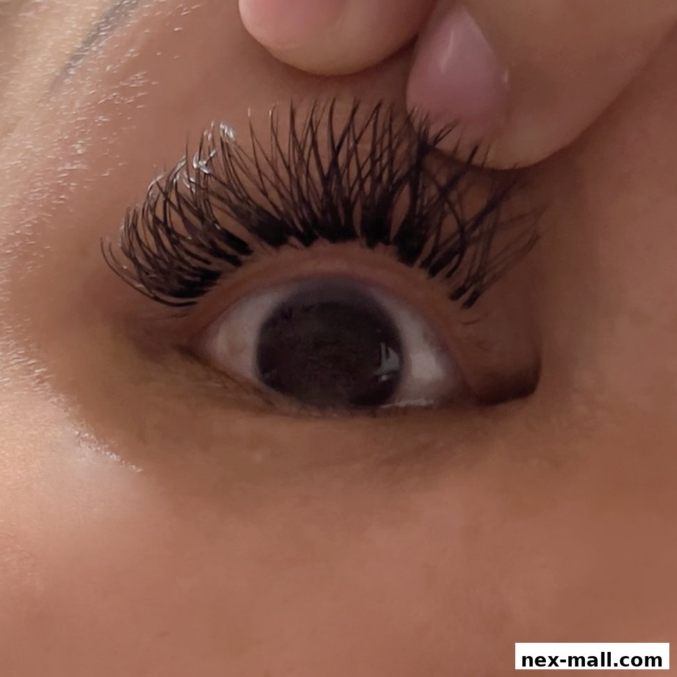 Close-up of a person's eye with beautifully applied eyelash extensions.