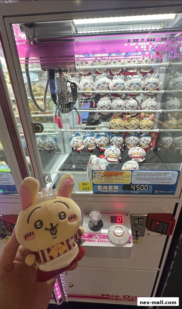 A person holds a plush toy in front of a claw machine filled with more plush toys.