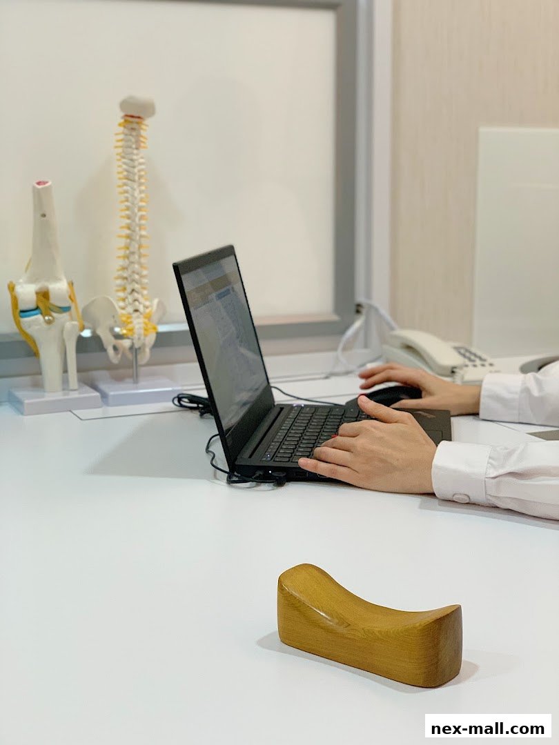 A person's hands typing on a laptop next to anatomical models of a spine and knee.