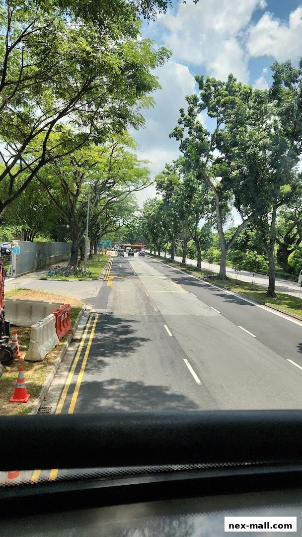 A road with trees lining the sides and cars driving on it.