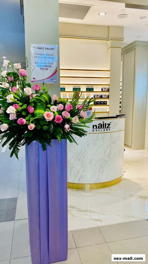Nailz Gallery  NEX