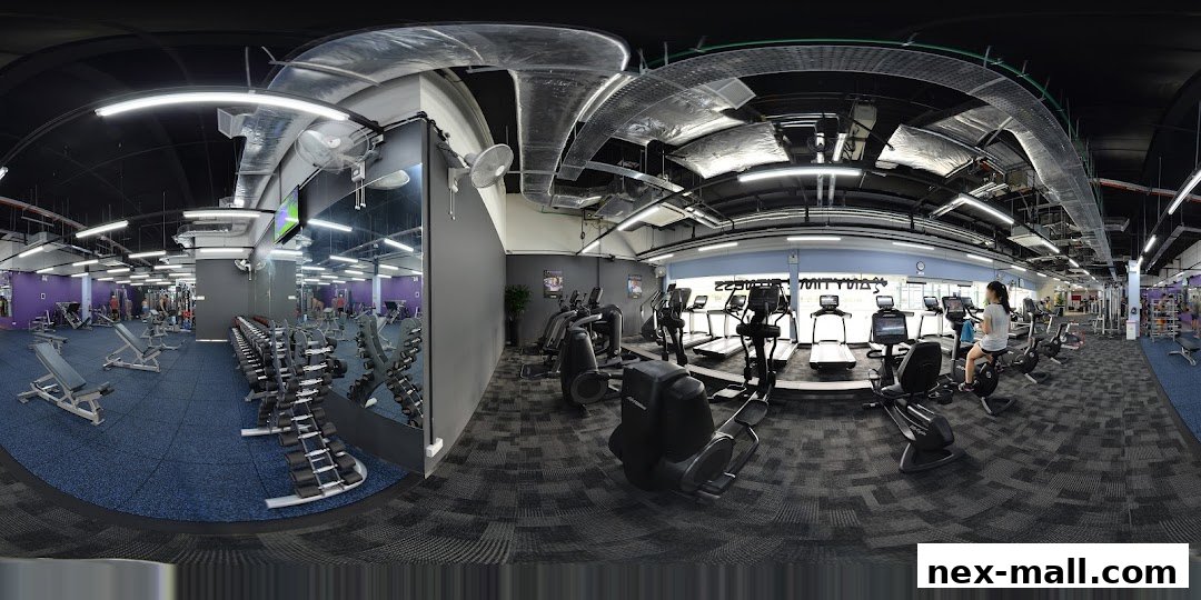 Interior view of a well-equipped gym with cardio machines, weight racks, and exercise equipment.