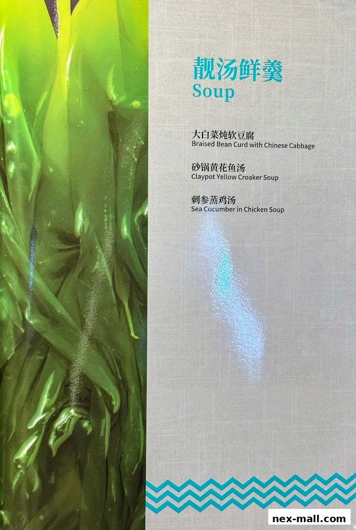 A menu page from PUTIEN NEX featuring various soup dishes with Chinese and English descriptions.