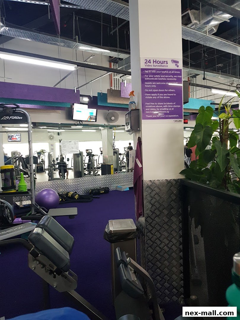 Interior view of a modern gym with various exercise machines and purple carpeting.