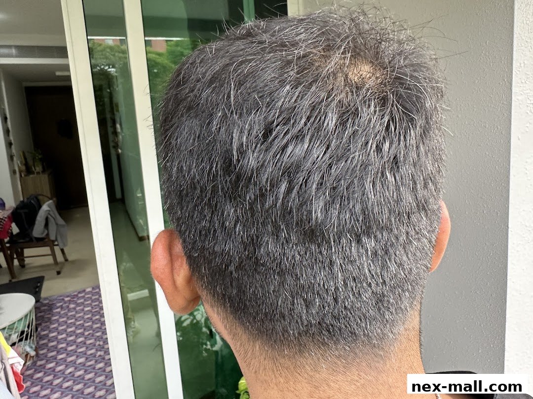 Back view of a man's head with graying hair, showing a haircut.