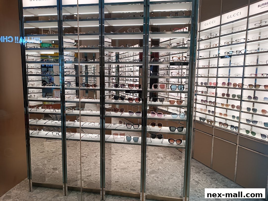 A well-lit display of various eyeglasses and sunglasses from designer brands.