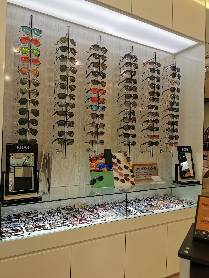 A vibrant display of various sunglasses and eyeglasses inside an optometrist's shop.