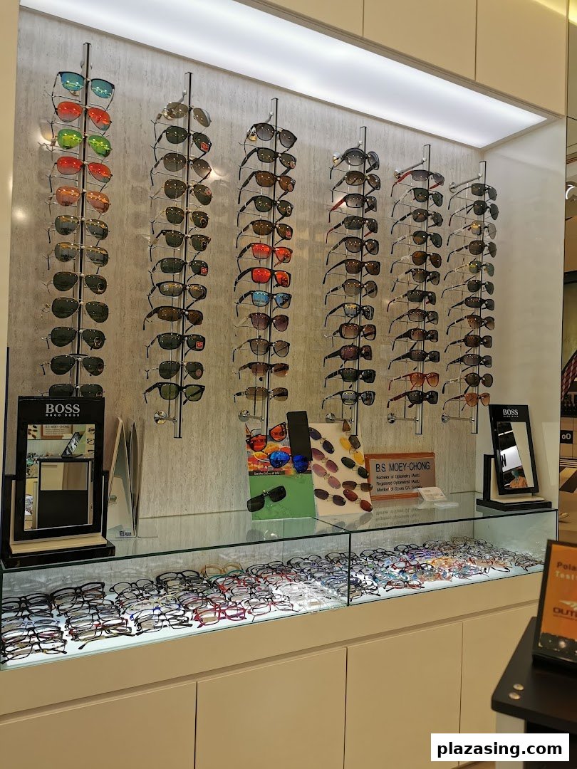 A vibrant display of various sunglasses and eyeglasses inside an optometrist's shop.