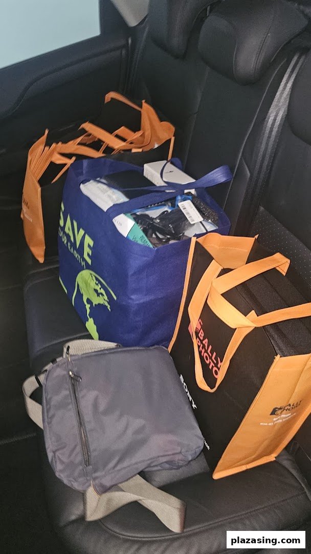 Shopping bags, including one from Bally Photo Electronics, filled with purchases in a car.