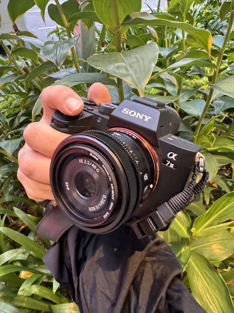 A hand holds a Sony Alpha 7 III camera with a FE 2.5/40 G lens amidst green foliage.
