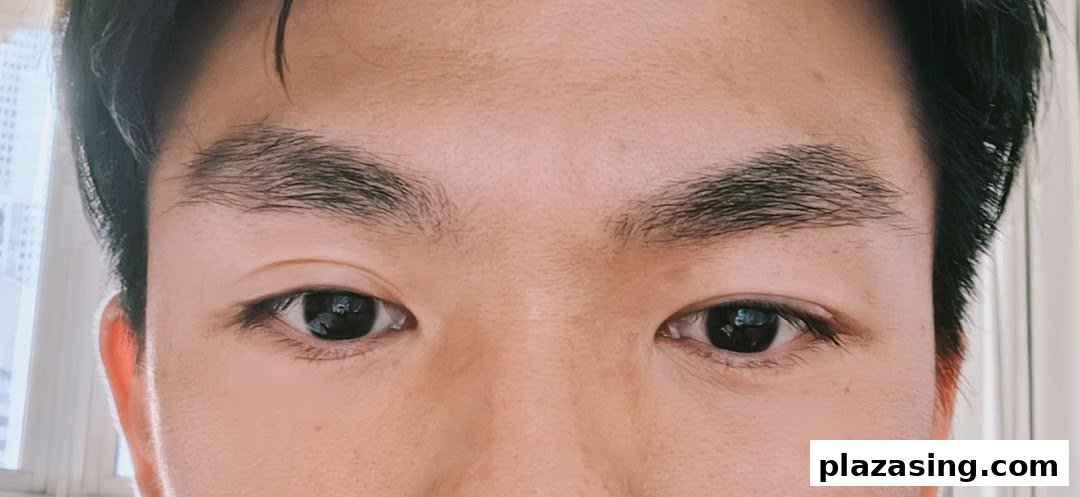 Close-up of a person's eyes and well-groomed eyebrows, highlighting brow treatment results.