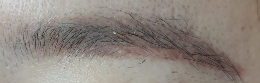A close-up view of a well-defined eyebrow, showcasing the results of an eyebrow embroidery procedure.