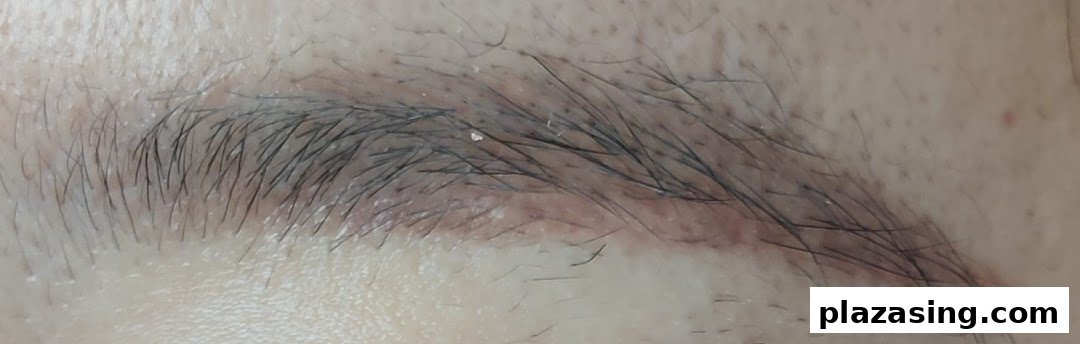 A close-up view of a well-defined eyebrow, showcasing the results of an eyebrow embroidery procedure.