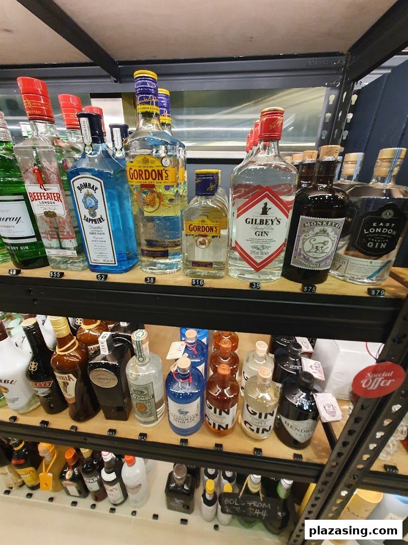 Shelves filled with a diverse selection of gin and other spirits, showcasing various brands and bottle sizes.