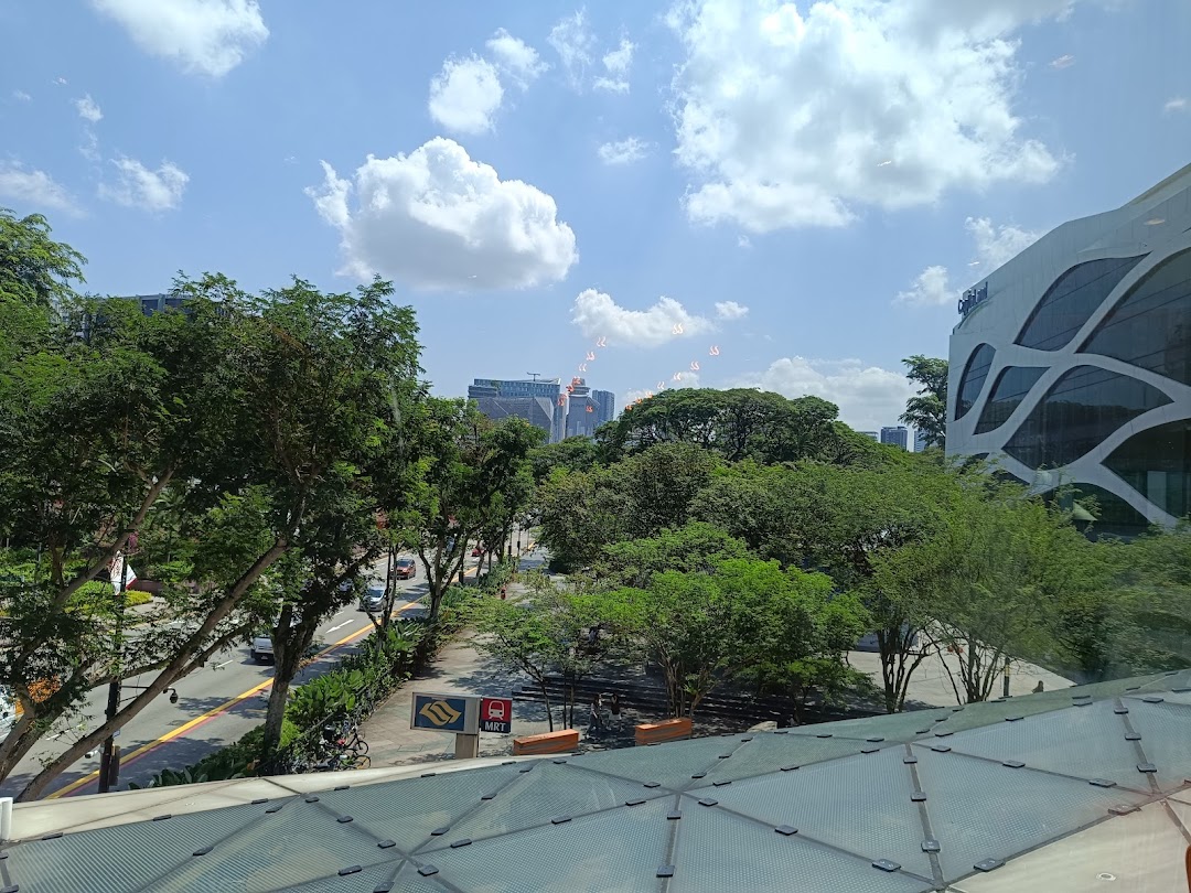 A bright outdoor view of a city street with lush trees and distant buildings under a clear sky.