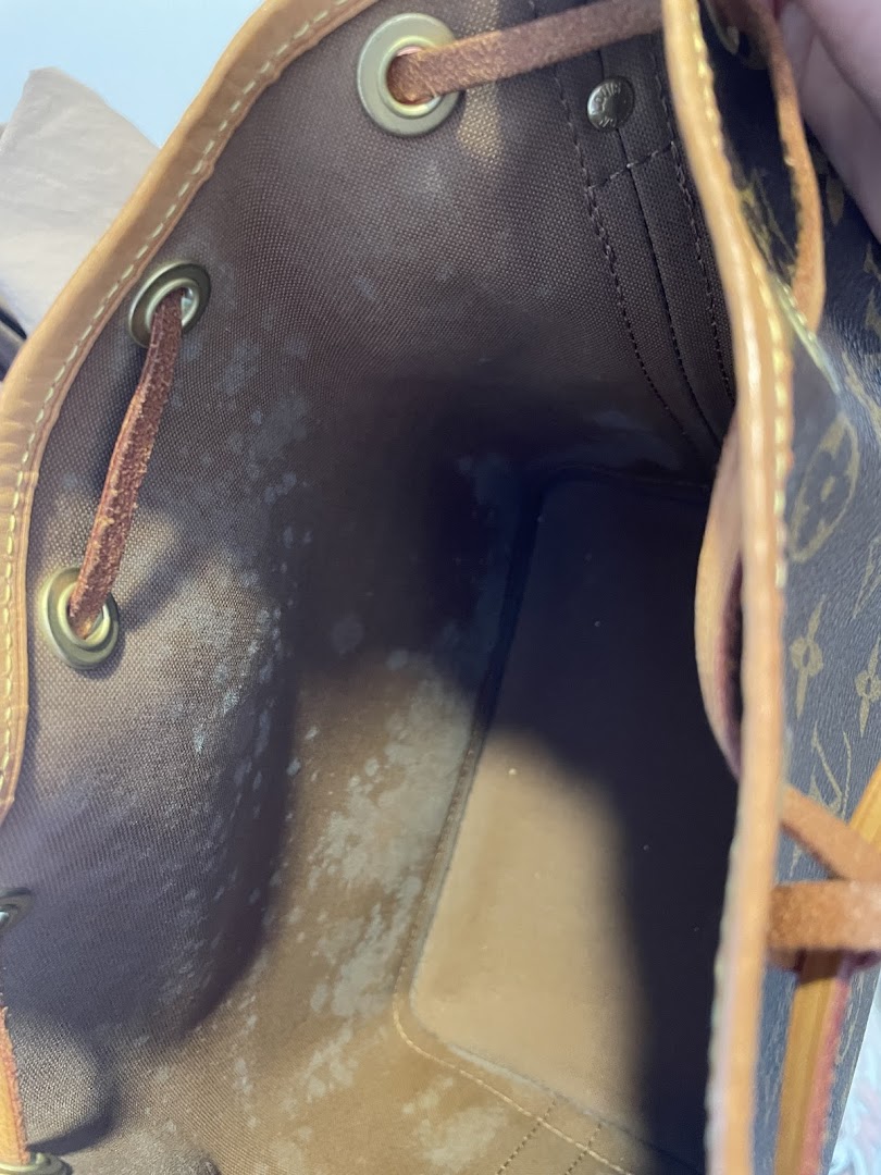 Close-up of a luxury bag's interior showing significant mold and wear on the lining.