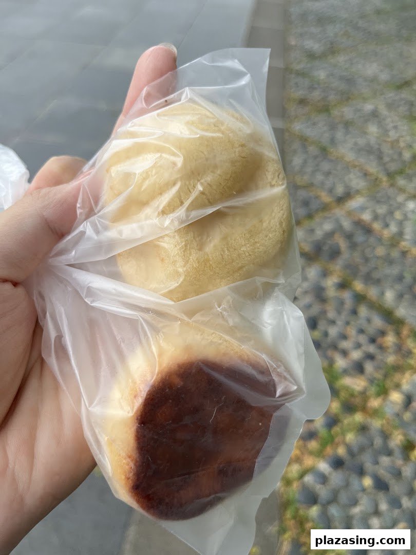 A hand holds two freshly baked pastries in clear plastic bags, showcasing their golden and browned crusts.