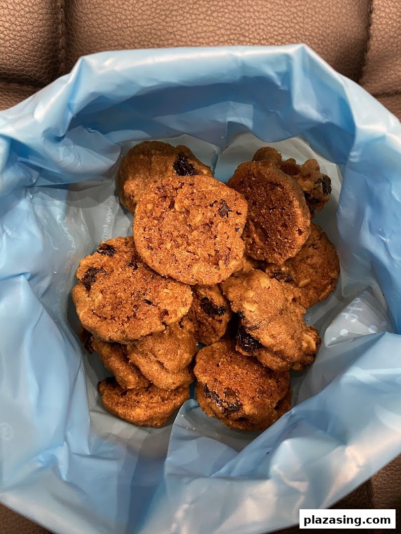 A close-up view of delicious Famous Amos cookies, likely oatmeal raisin, inside a light blue bag.