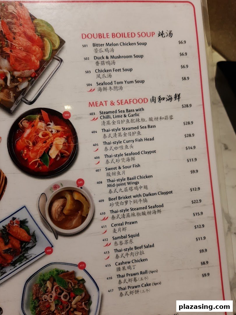 A detailed menu page showcasing a variety of double-boiled soups and meat & seafood dishes.